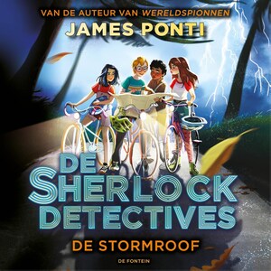 De stormroof - luisterboek