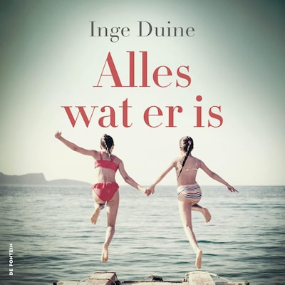 Alles wat er is - luisterboek