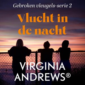 Vlucht in de nacht - luisterboek