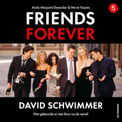 David Schwimmer
