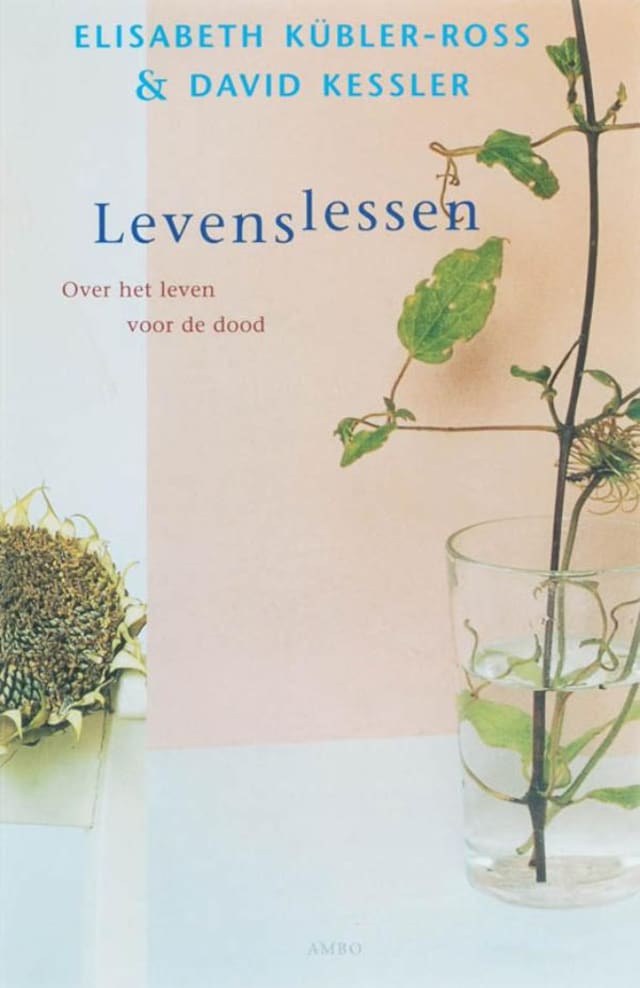 Book cover for levenslessen