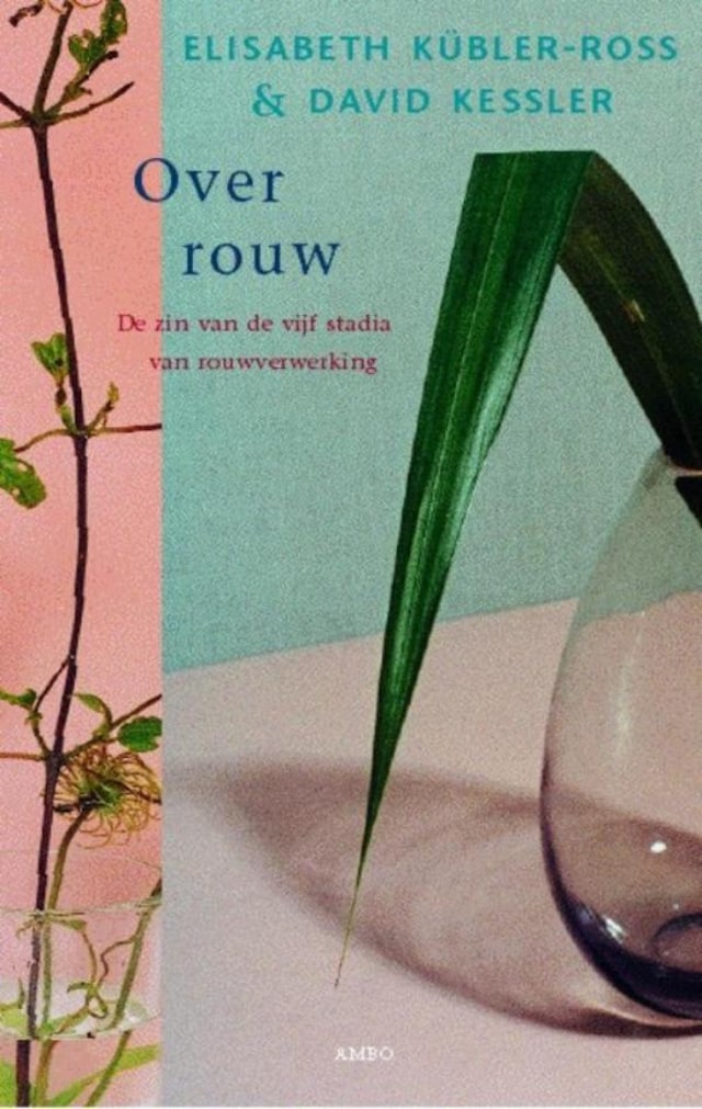 Book cover for Over rouw