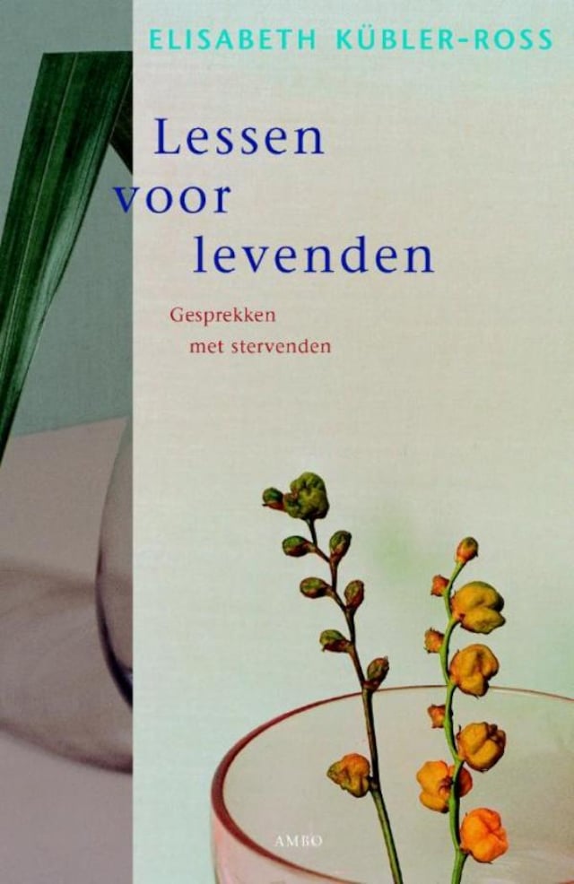 Book cover for Lessen voor levenden