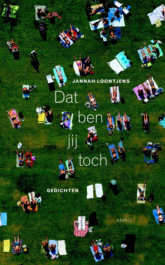 Buchcover für Dat ben jij toch