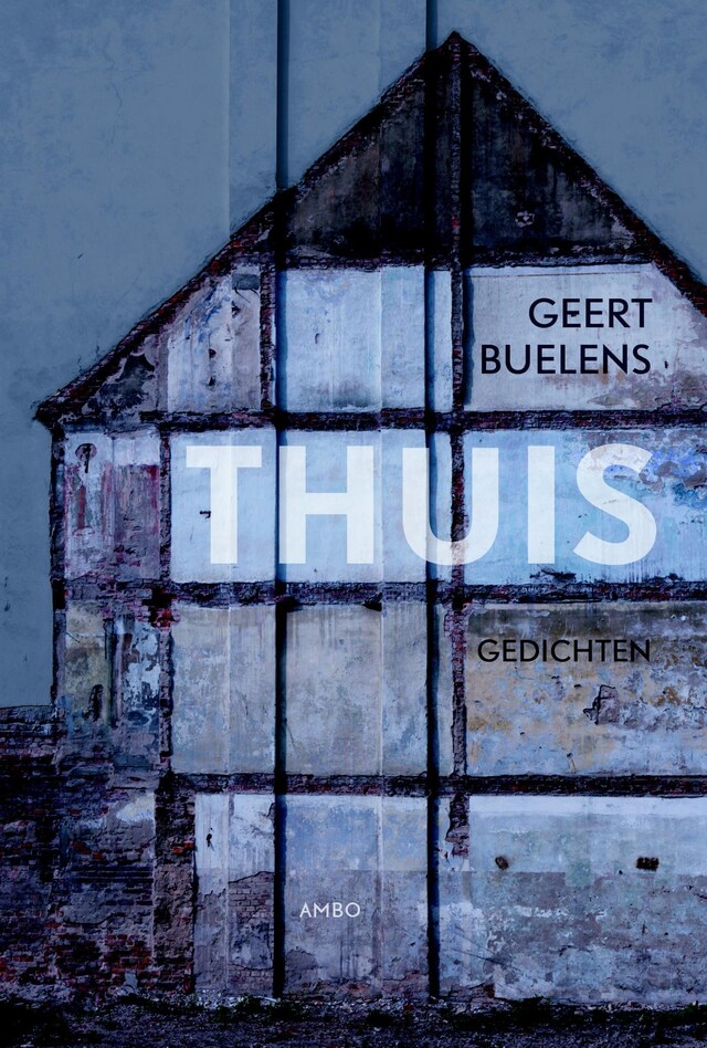 Book cover for Thuis