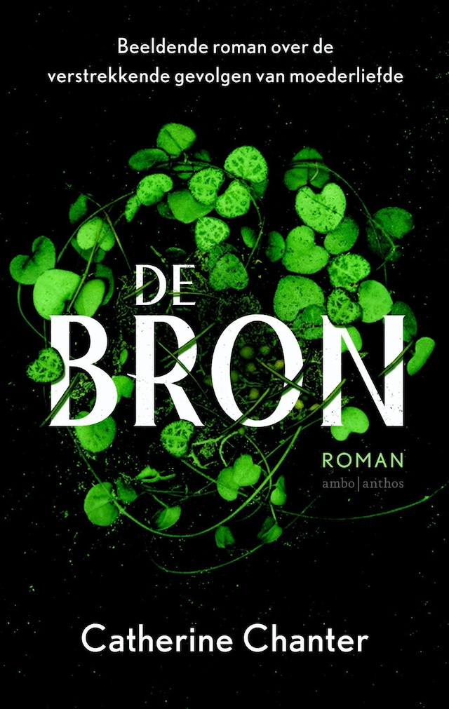 Book cover for De bron