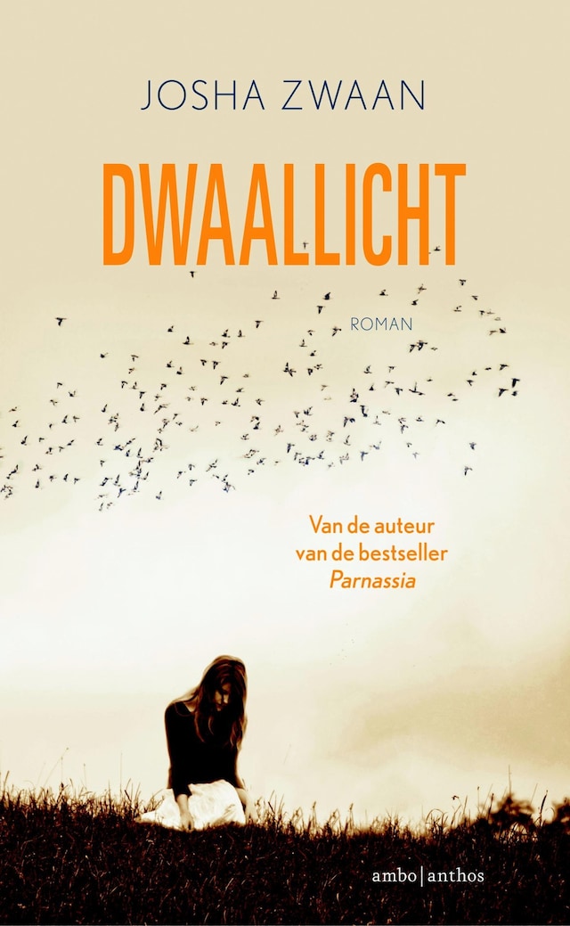 Buchcover für Dwaallicht