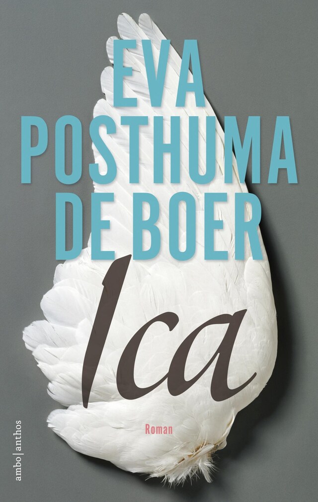 Book cover for Ica