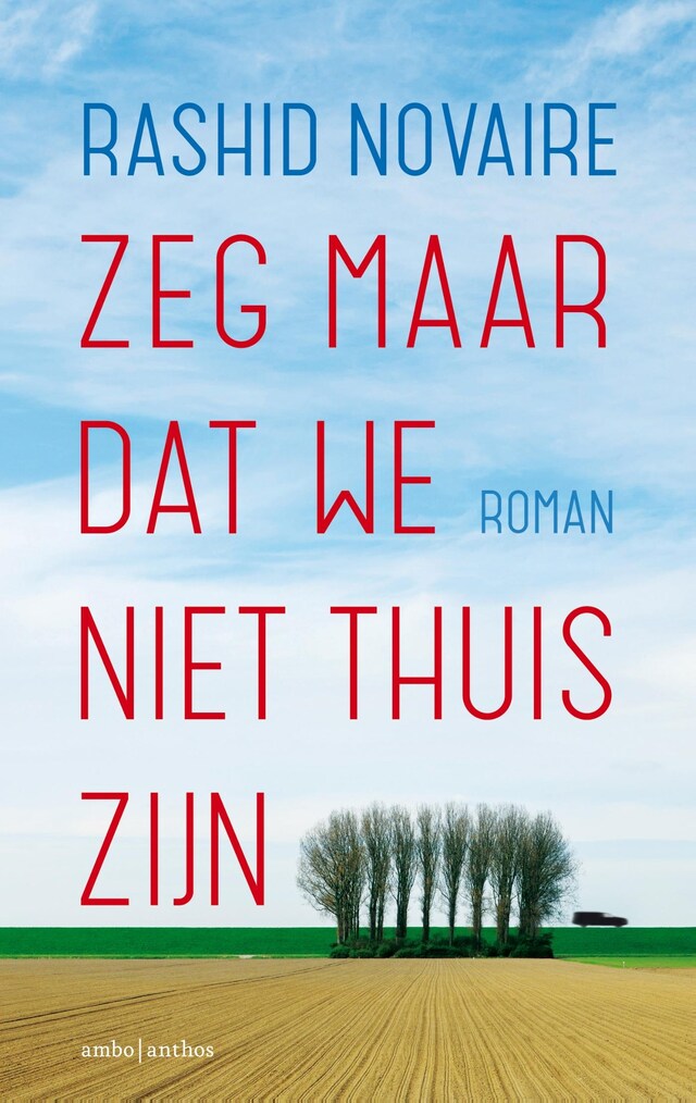 Book cover for Zeg maar dat we niet thuis zijn