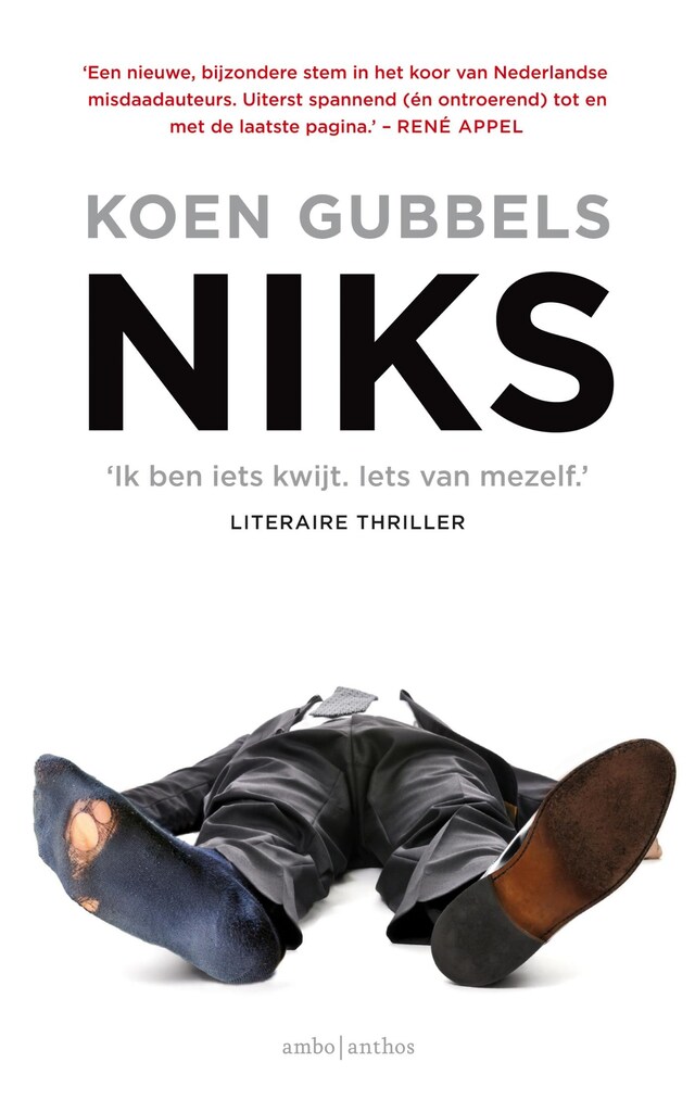 Buchcover für Niks