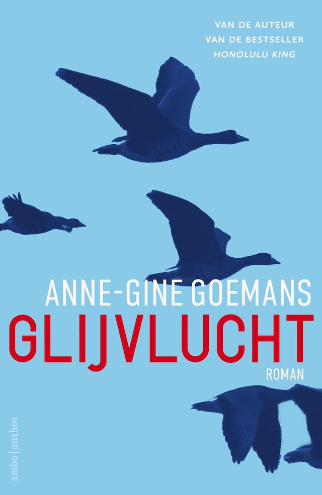Book cover for Glijvlucht