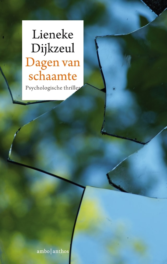Copertina del libro per Dagen van schaamte