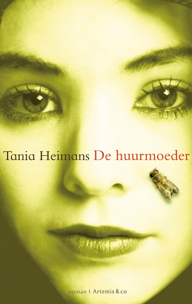 Buchcover für De huurmoeder