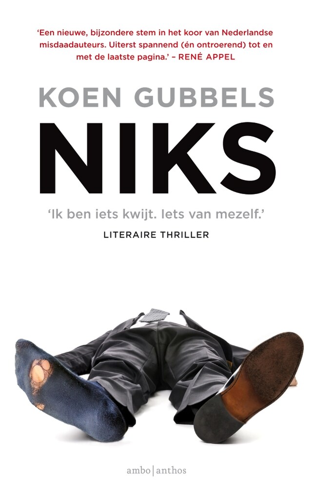 Book cover for Niks