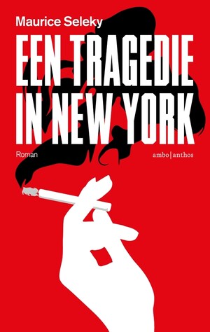 Een tragedie in New York - luisterboek