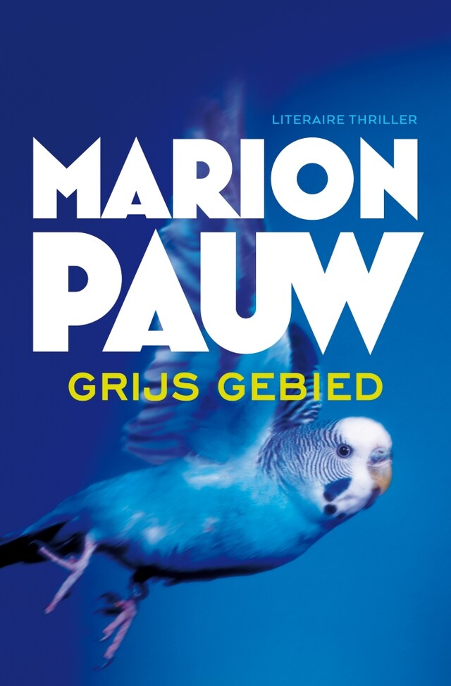 Book cover for Grijs gebied