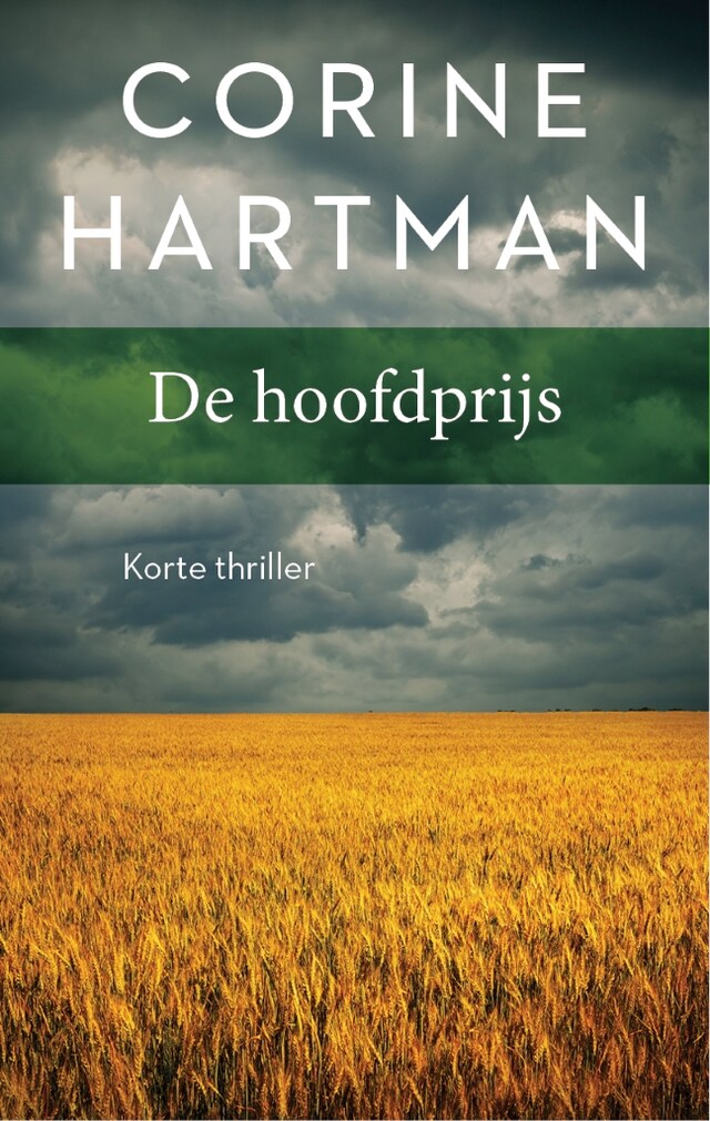 Buchcover für De hoofdprijs