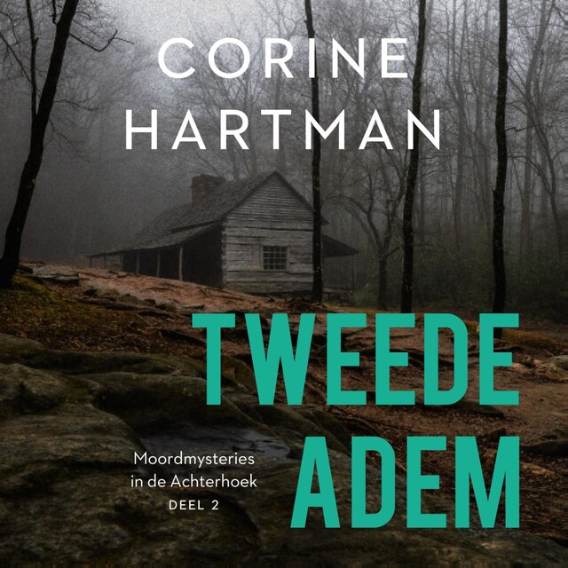 Book cover for Tweede adem