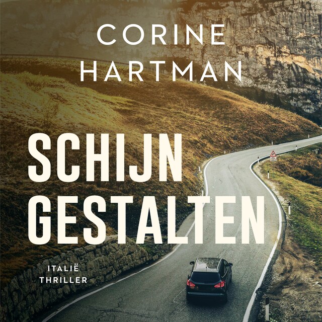 Book cover for Schijngestalten