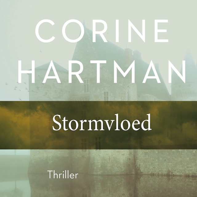 Book cover for Stormvloed