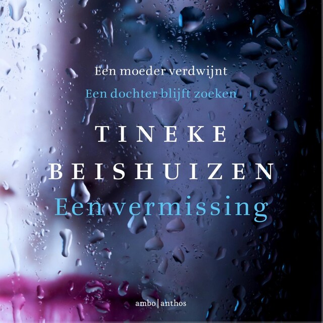 Book cover for Een vermissing