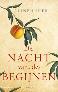 De nacht van de begijnen
