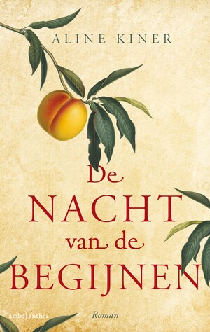 De nacht van de begijnen - luisterboek