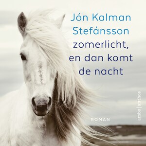 Zomerlicht, en dan komt de nacht - luisterboek