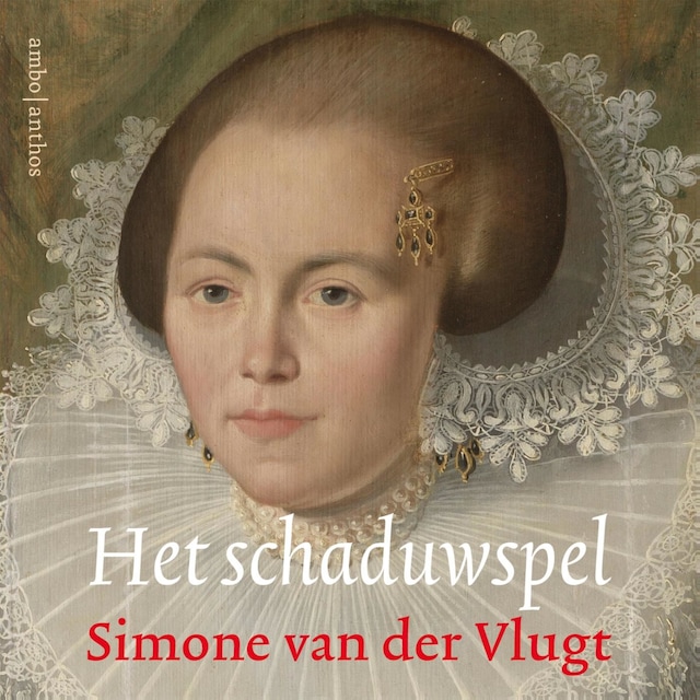 Book cover for Het schaduwspel