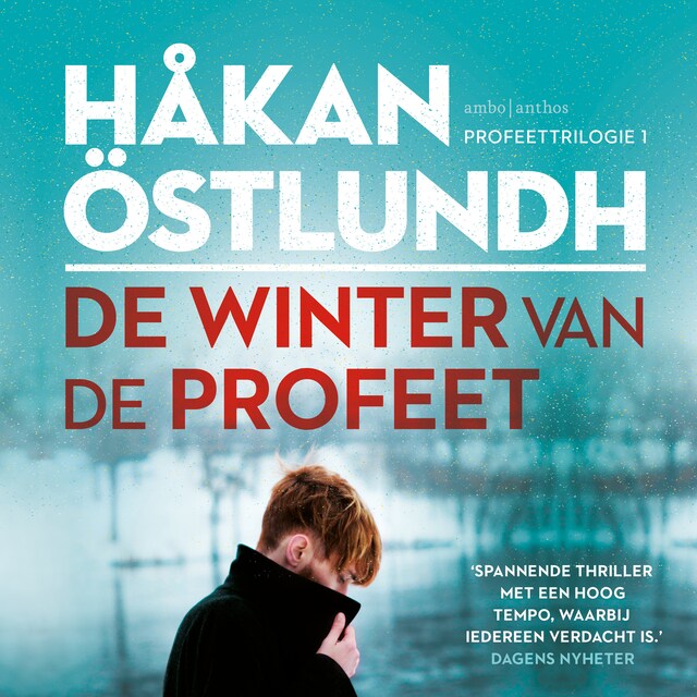 Okładka książki dla De winter van de profeet