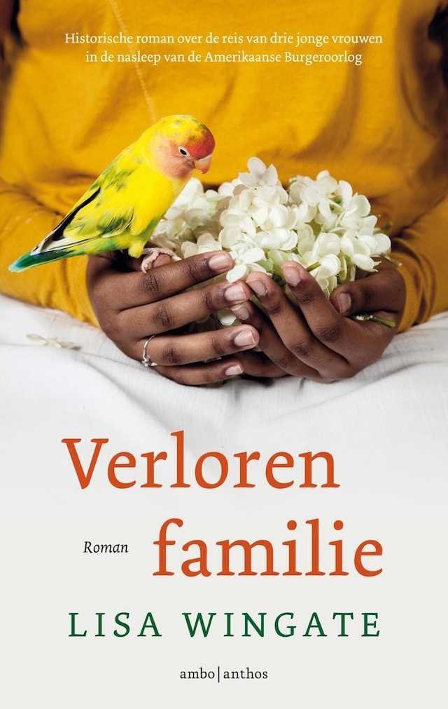 Book cover for Verloren familie