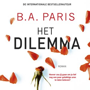 Het dilemma - luisterboek