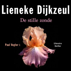 De stille zonde - luisterboek