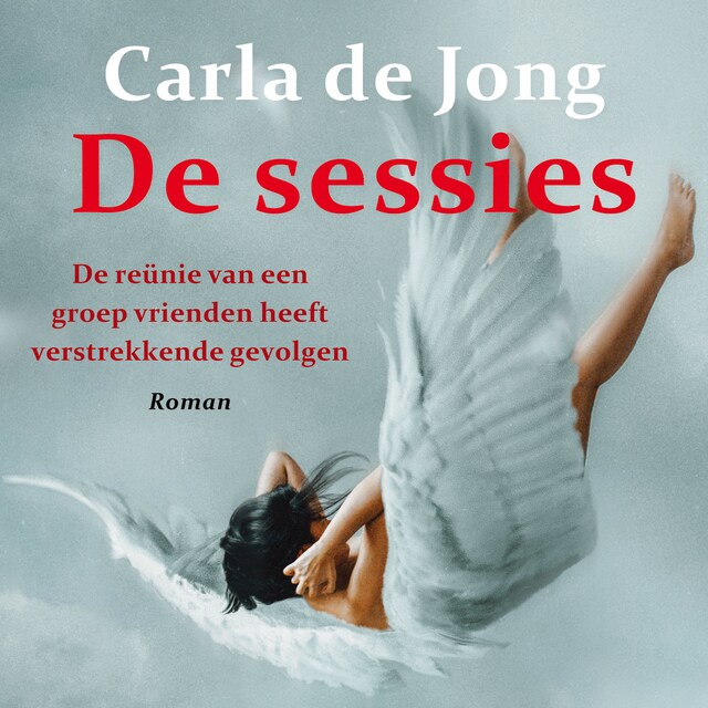 Book cover for De sessies