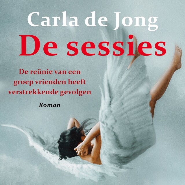 Boekomslag van De sessies