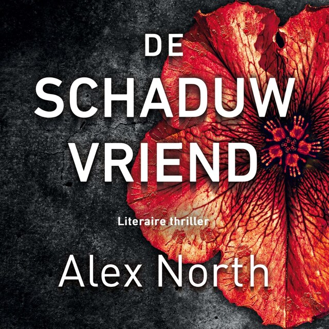Book cover for De schaduwvriend