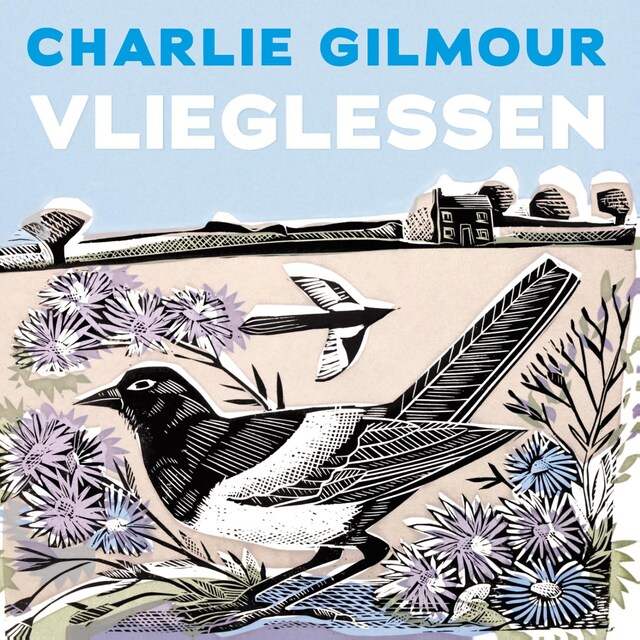 Book cover for Vlieglessen