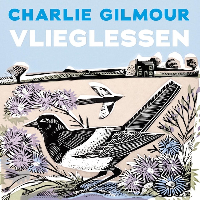 Buchcover für Vlieglessen