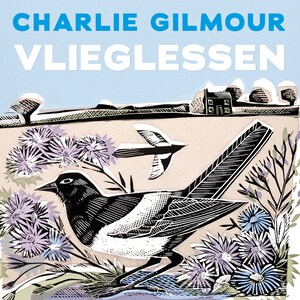 Vlieglessen - luisterboek