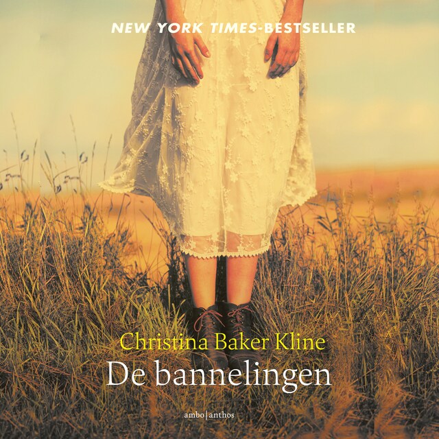 Book cover for De bannelingen