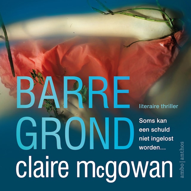 Book cover for Barre grond
