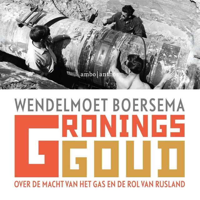 Book cover for Gronings goud