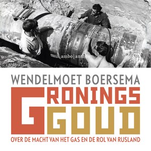 Gronings goud - luisterboek