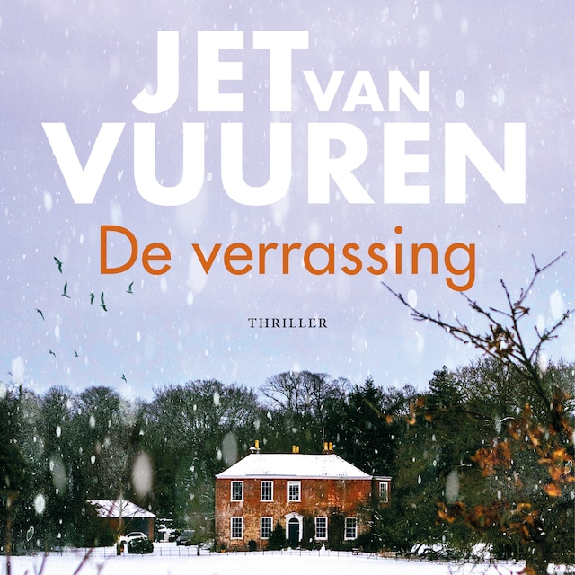 Boekomslag van De verrassing