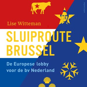Sluiproute Brussel - luisterboek