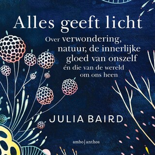 Alles geeft licht bookCoverFor