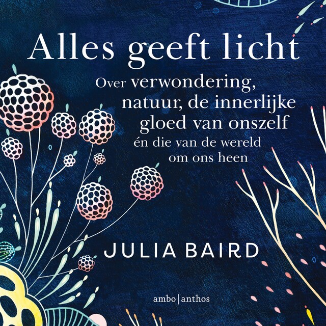 Book cover for Alles geeft licht