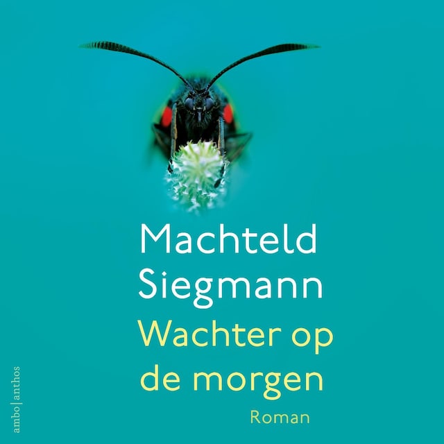 Book cover for Wachter op de morgen