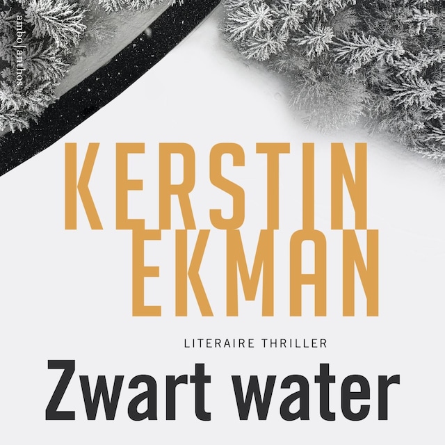 Book cover for Zwart water