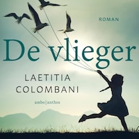 De vlieger